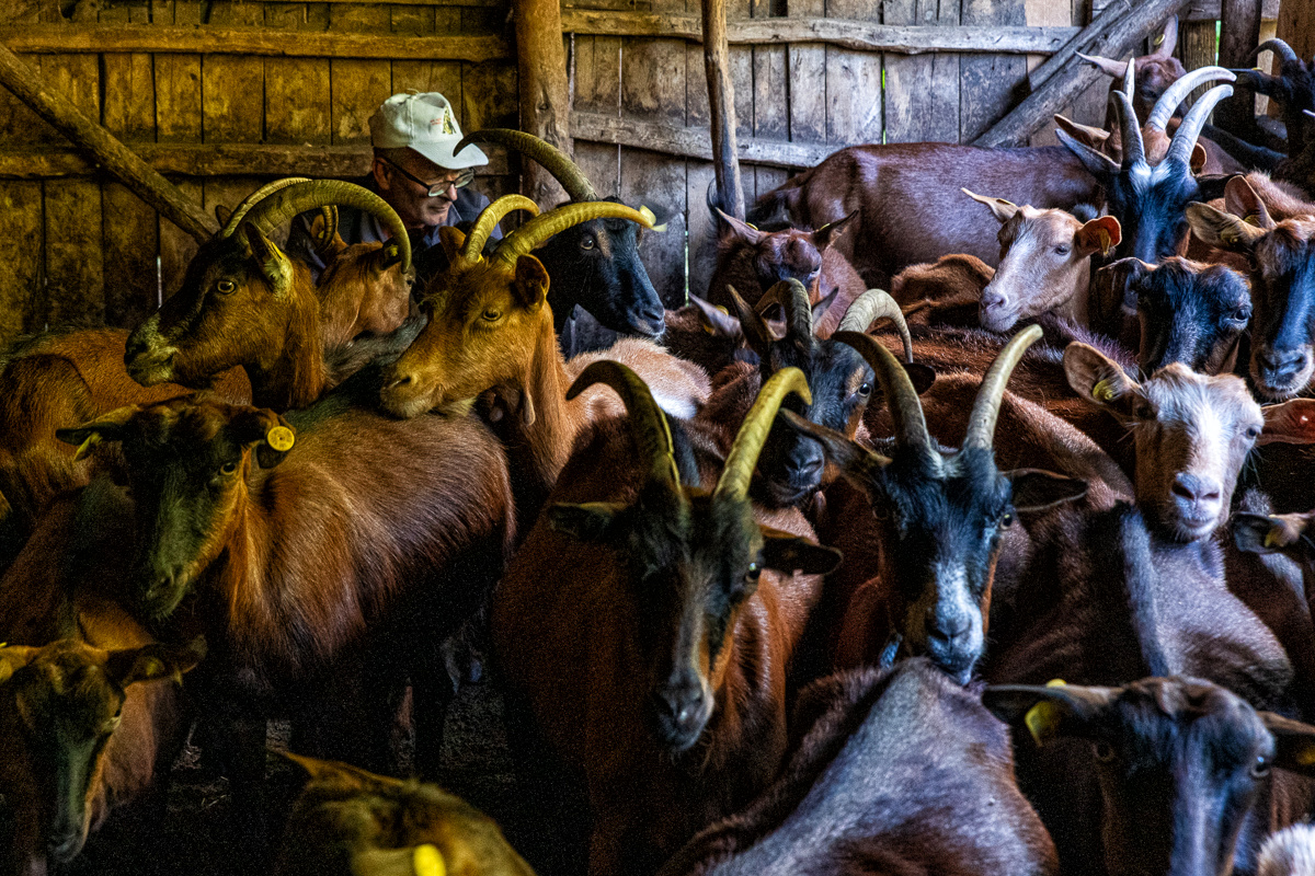 _DSC3554_Makedonie_20230811_Pavla_Bicikova