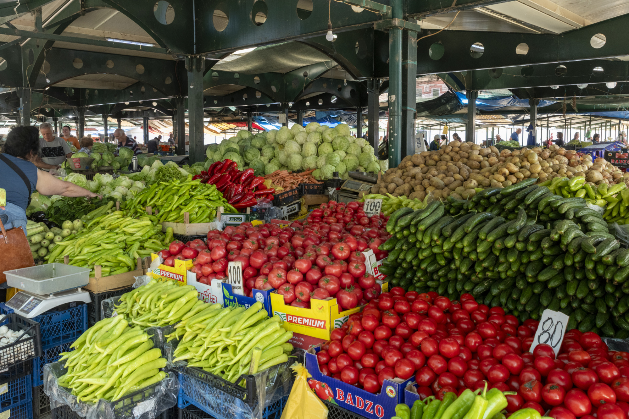 DSC_4864_Makedonie_2025_Pavla_Bičíková