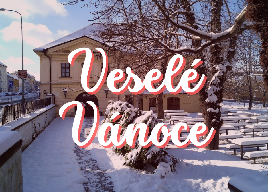 Veselé Vánoce přeje Kaštan 🎅🏻🌲